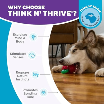 Outward Hound Gummiez Cherries Dog Toy & Treat Stuffer, 4″ x 4″ Cherry-Scent Interactive Chew for Dogs, Promote Healthy Teeth, Gums & Mental Enrichment, Reduce Boredom & Support Dental Health - color: Cherries