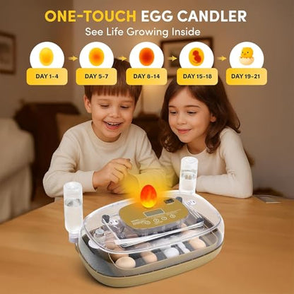 24 Egg Incubator, Incubators for Hatching Eggs with Fully Automatic Turner & Candler, Smart Temperature & Humidity Control, 360° View, Hatching Chicken, Duck, Quail, Goose Eggs for Farm, Home, School