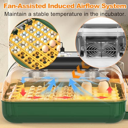 49 Egg Incubator for Hatching Eggs with Automatic Egg Turning, Temperature & Humidity Display, Hatch Day Countdown, Auto Water Refilling System, Egg Candler, Multifunctional Egg Tray for Chicken - size: M- 49 Chicken Eggs