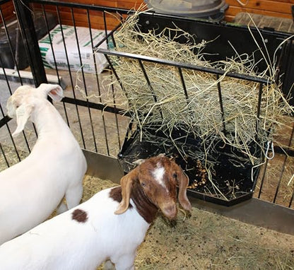 Premium Wall-Mount Metal Hay Feeder for Goats and Sheep - Essential Goat Supplies and Accessories for Barns, Pens, and Livestock Shelters. | Heavy duty made in USA wall mounted large capacity easy to install