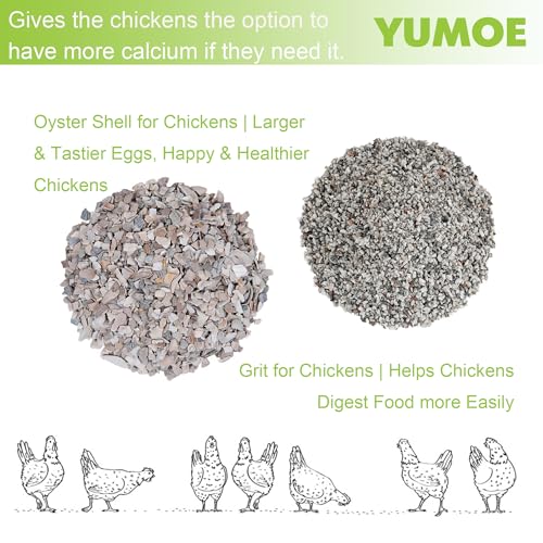 Metal Chicken Feeder Oyster Shell and Grit Dispensers for Chicken Coop Accessories - size: 4.5Lbs Feeder
