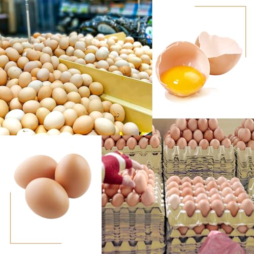 18 Flats 30-Cell Egg Crate, Holds 30 Eggs, Sturdy and Stackable, Perfect Egg Crates for Fresh Eggs, Chicken Farm - size: 18 Pack Light gray