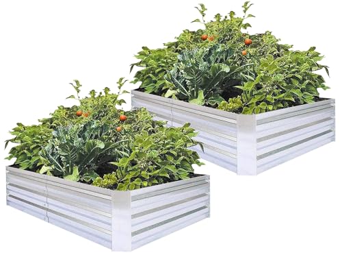 Galvanized Raised Garden Beds 2-Pack (6x3x1ft Each) – Popular Heavy-Duty Metal Planter Box with 4 Support Bars for Vegetables, Herbs, Flowers, Space-Saving Size for Small Yards & Patios - size: 6x3x1ft (2 pcs)