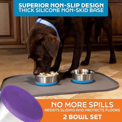 Master Pet Supply Stainless Steel Dog Bowls Set of 2 with Extra Thick Silicone Base - 2 Cup (16 oz) Plum Crazy, Non-Slip, Dishwasher Safe Metal Bowls, Pet Dog Food Bowl for Dogs, Cats, Anti Rust - color: Plum Crazy, size: 2 Cups (16 oz) 2 Pack