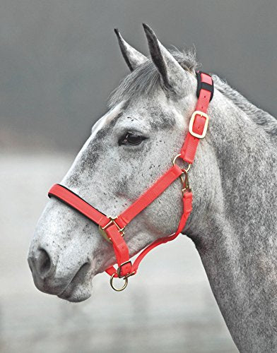 Shires Topaz Leather Breakaway Nylon Headcollar - color: Orange, size: Small Pony