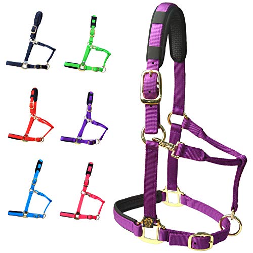 T TEKE Adjustable Horse Halters by Heavy Duty Soft Nylon, Padded with Anti-rubbing Waffle Neoprene on Both Crown & Nose - color: Purple, size: Pony (S)