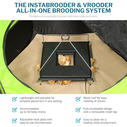 Insta Brooder™ with Vrooder™ Heater Plate - Chicken Pop Up Playpen with Removable Mesh Top - Portable and Foldable Chicken Pen - Indoor Brooder Box for Chicks (36 x 36 x 18 inches)