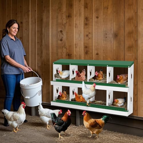 Chicken Nesting Box,8 Holes Galvanized Steel Metal Chicken Laying Box with Automatic Roll-Away Egg Collection System & Removable Tray,Wall Mount Nesting Boxes - color: Green, size: 8 Holes