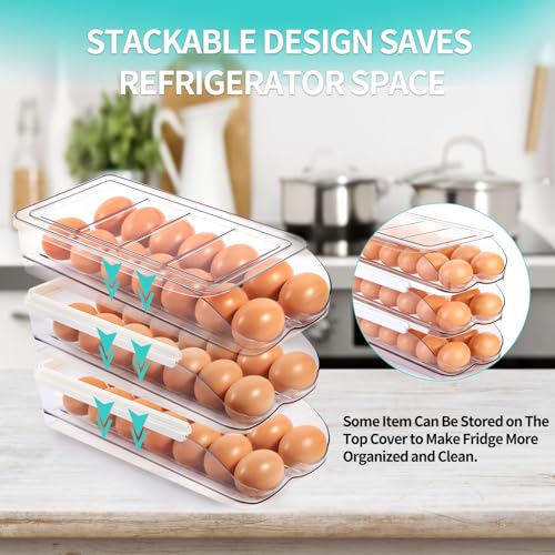 RoskDeewat Egg Holder for Fridge, Automatic Rolling Egg Container for Refrigerator, Stackable Fridge Organizers and Storage with Lid, Clear Plastic Egg Dispenser & Tray (2 Tier) - size: 2 Tiers Holder 28 Eggs