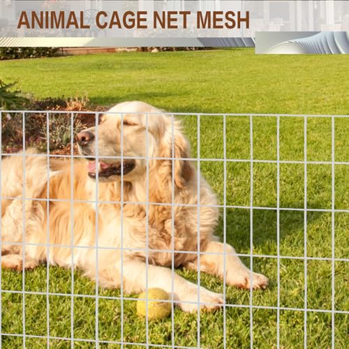 Tongmo 2 ft x 100 ft Galvanized Welded Wire Fence, 16GA Garden Chicken Wire Fence Roll, Mesh Size 2" x 4"Hardware Cloth, Ideal for Yard Protection and Poultry Netting - color: Galvanized, size: 2ft*100ft