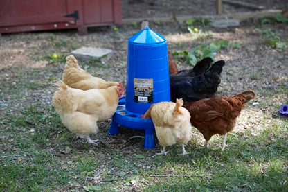 Double-Tuf® Poultry Feeder with Legs | Durable Feeding Container | Carrying Handle for Chickens & Birds | Chicken Feeder | 35 Lbs - size: 35 lbs