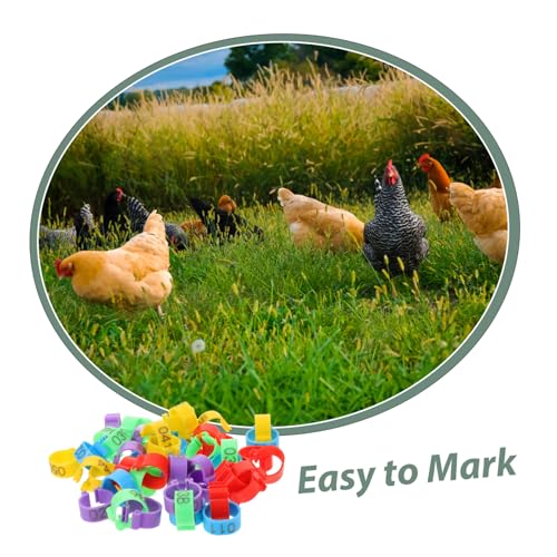 50Pcs Poultry Feet Rings Chicken Identification Leg Bands Lightweight Clip Chick Leg Rings for Poultry Marking for Easy Identification