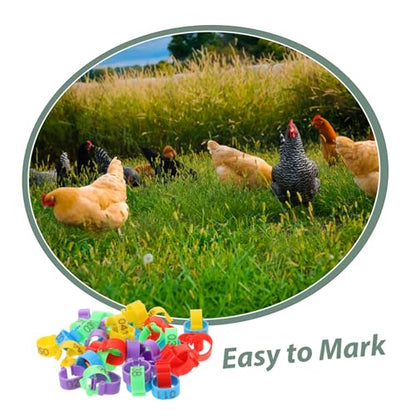 50Pcs Poultry Feet Rings Chicken Identification Leg Bands Lightweight Clip Chick Leg Rings for Poultry Marking for Easy Identification