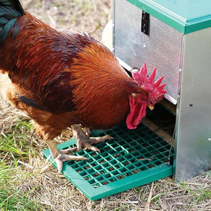 Hatching Time Treadle Chicken Feeder – 26 lb Capacity – Weight-Activated Outdoor Poultry Feeder – Rodent-Resistant, Galvanized Metal, Weatherproof Design for Chickens, Ducks, Game Birds - size: 26 Pound