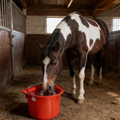 Qianly Horse Feed Bucket Feed Trough Farm Mountable for Easy Hanging Versatile Ergonomic Livestock Feeding Container Heavy Duty, Red - color: Red