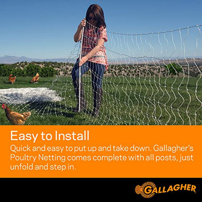 Gallagher 48" x 82' Electric Poultry Netting | Highly Conductive Braided Electric Chicken Fencing with Double-Spiked Fiberglass Posts | Electric Fencing for Backyards, Pastures, Farms and Homesteads