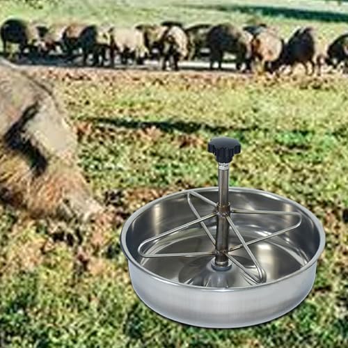 Pig Feed Trough Pig Feeder Bowl Stainless Steel Piglet Trough Pig Waterer Livestock, S