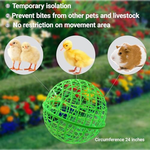 7.8" Ball-Shaped Movable Pigeon Chick Coop, Little Rabbit Duck Guinea Pig Safe Walking Net,Preventing Dog Bites, Predation by Eagles Wolves Cats Eagles, Pet Safety Cage - color: Green