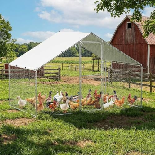 GarveeLife Large Metal Chicken Coop with Waterproof and Anti-UV Cover, Walk-in Poultry Cage, Outdoor Chicken Run for Backyard Farm Use, 9.8x6.5x6.5 FT - size: 118.1"L x 78.7"W x 78.7"H