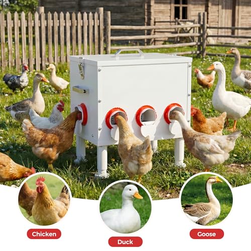 Automatic Chicken Feeder 50lbs Capacity Metal Chicken Feeder with 8 Ports No Waste Chicken Feeder Weatherproof Poultry Feeding Equipment with Handle, Locking Lid & Adjustable Legs for Outdoor