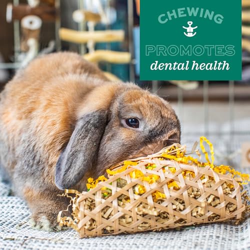 Oxbow Enriched Life Loco Ball, Rabbit Toys, Guinea Pig Toys, Enrichment for Bunny, Hamster, Rabbit, Chinchilla, Rat, Chinchilla Cage Accessories, Guinea Pig Accessories for Cage (Pack of 2) - size: 1 Count (Pack of 2)