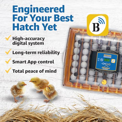 Brinsea Ovation 56 EX Connect App Controlled Egg Incubator with Automatic Egg Turning and Humidity Control for Hatching 56 Chicken, Duck, Other Eggs, Precision App-Driven Digital Controls and Alarms - style: Connected