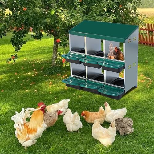 Garvee Chicken Nesting Box, Chicken Laying Box with Egg Collection, Roll Away Nesting Boxes, Metal Egg Laying Boxes for Chickens Coop, Duck Coops and Hens