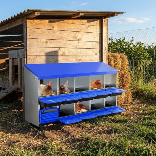 Chicken Nesting Box 10-Hole Roll Away Egg Laying Box with Lid, Galvanized Steel Rustproof Poultry Coop Box, Easy Clean, Wall Mountable No Bracket Needed for Hens, Blue - color: Blue, size: 10 holes