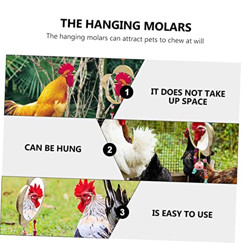 Creative Wooden Mirror Toy for Chickens Hens Interactive Pet Mirror Pendant for Playtime Relief for Chicken Farms