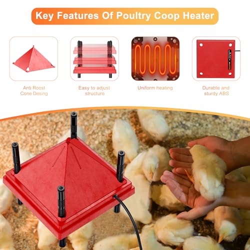 ZenxyHoC Brooder Plate for Chicks with Anti-Roost Cone, Chick Brooder Heater Red 12" x 12" with Constant Temperature - size: 12" x 12" with Constant Temperature