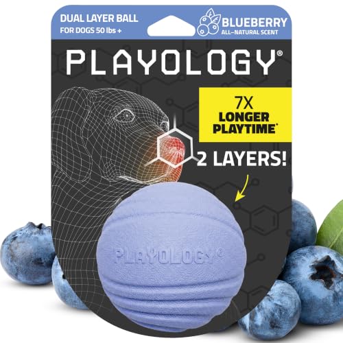 Playology Dog Toys | Dual Layer Ball Durable Chew Toy for Tough Chewers | Blueberry Scented Jumbo Dog Toy | Chew Toys for Large Dogs - size: Jumbo, style: Blueberry