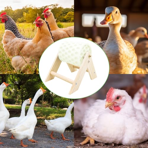 Chicken Coop Accessories, Beak Grinding Calcium Stone with Wooden Stand, Chicken Enrichment Toys, Toys for Hens, Ducks, Geese, Turkeys, Poultry, White - color: White
