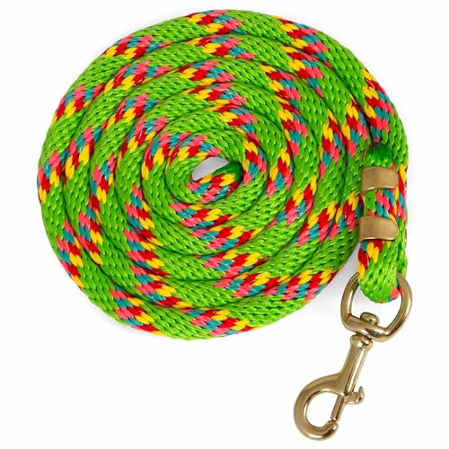 Jeffers Equine Poly Horse Lead Rope, 5/8" x 8', Heavy Duty, Durable Lead Rope with Bolt Snap, Rust Resistant Brass Hardware for Horses - Training, Grooming, & Equestrian Accessories - Light Green - color: Light Green with Spiral Pattern, size: 5/8inch x 8