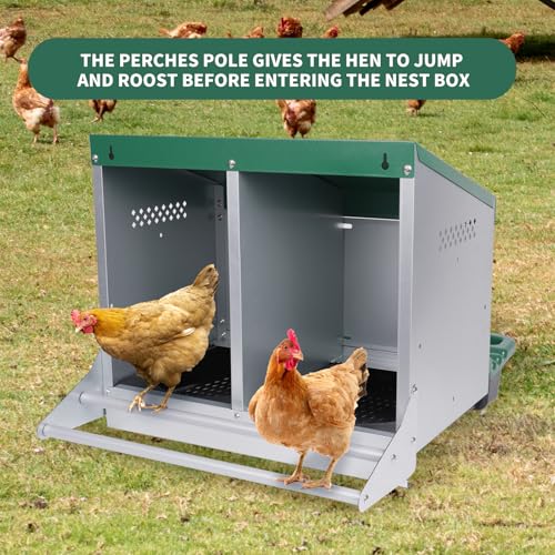 Chicken Nesting Box, 2 Holes Nesting Boxes, Heavy Duty Metal Laying Boxes, Roll Away Nesting Box Egg Collection Tray, with Roosting Pole for Chicken Coop(Green) - size: 22.0"L x 25.5"W x 18.5"H