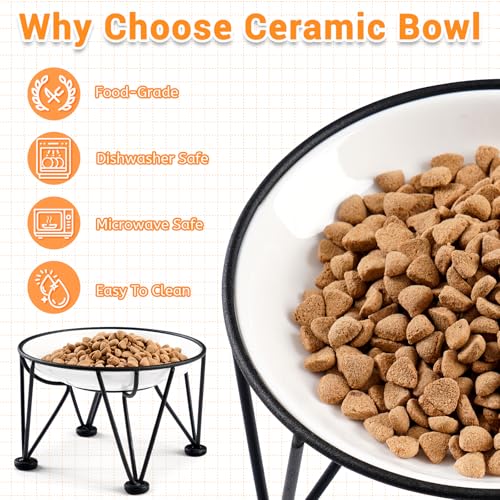 Elevated Ceramic Cat Bowls – Whisker-Friendly & Anti-Vomiting, Non-Slip Raised Cat Food Dishes – Stylish, Safe & Hygienic Feeding Set (2-Pack) - color: fishbone+cat paw, size: anti-slip raised dish,2 pack