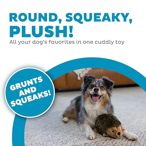 Outward Hound Hedgehogz Stuffed Dog Toy – Soft Plush Hedgehog, Grunts & Squeaks, Medium, 9" x 5" x 6.5" - size: Medium (Pack of 1)