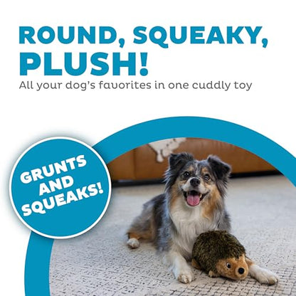 Outward Hound Hedgehogz Stuffed Dog Toy – Soft Plush Hedgehog, Grunts & Squeaks, Medium, 9" x 5" x 6.5" - size: Medium (Pack of 1)