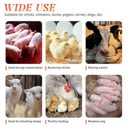 Chicken Heat Lamp Chick Brooder Chickens Coop Heater Heating Lamp for Outdoor & Indoor 300W Heater for Dog Rabbit Duck Chicken Piglet Goat (300W)