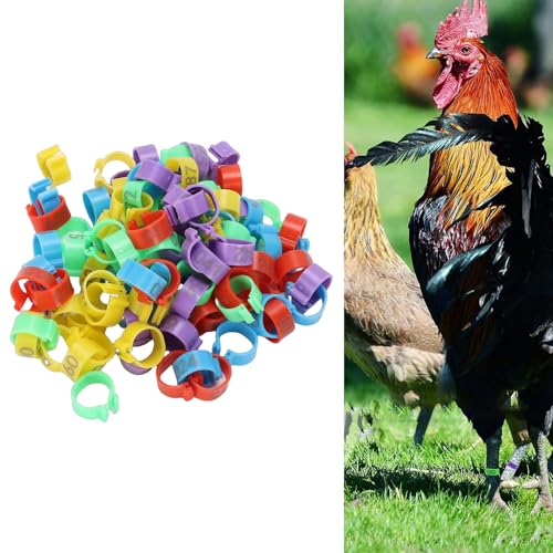 100pcs Chicken Ankle Bands, Multicolor Poultry Leg ID Clips Numbered Chick Identification for Farm Breeding Durable Plastic
