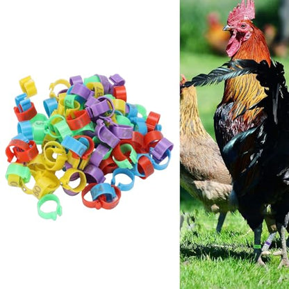 100pcs Chicken Ankle Bands, Multicolor Poultry Leg ID Clips Numbered Chick Identification for Farm Breeding Durable Plastic