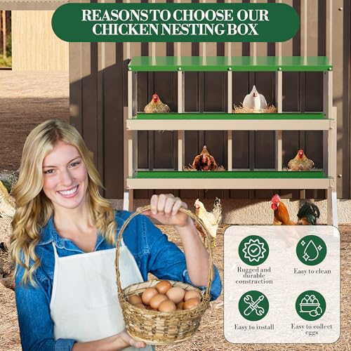 Chicken Nesting Box,8 Compartments Galvanized Steel Metal Chicken Laying Box with Roll Out Egg Collection,Wall Mount Chicken Nesting Boxes,Easy Egg Collection, Hen Roosting Boxes - color: Green, size: 8 Holes with Legs