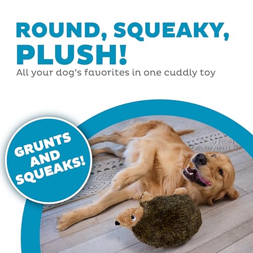 Outward Hound Hedgehogz Stuffed Dog Toy – Soft Plush Hedgehog, Grunts & Squeaks, Large, 12" x 6" x 7" - size: Large (Pack of 1)