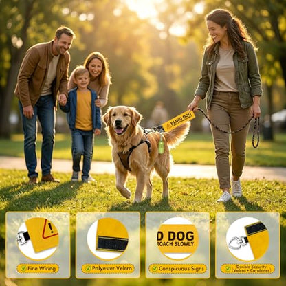 Blind Dog Leash Wrap, Visible Yellow Warning Sleeve with Heart Snap Hook, Please Approach Slowly Sign for Blind & Vision Impaired Pets, Durable Double-Sided Canvas Lead Cover - color: Blind Dog