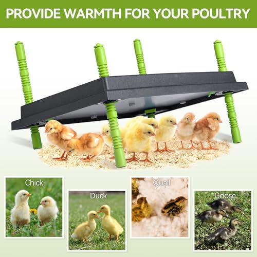 Chick Brooder Heater Plate, 12"x16" Warmer Brooder Plate for Chicks with Adjustable Height, 30W Temperature Control Brooder Heating Plate for 40 Baby Chicks Duck - size: 16.3"L x 12.0"W x 3.0"H
