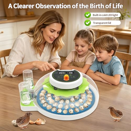 Quail Egg Incubator for Hatching 60 Quail Eggs with Automatic Egg Turning and Humidity Control, Small Quails Brooder Poultry Incubators or Partridge Parrot Pigeon and Other Bird in Home Farm - size: 66 Units
