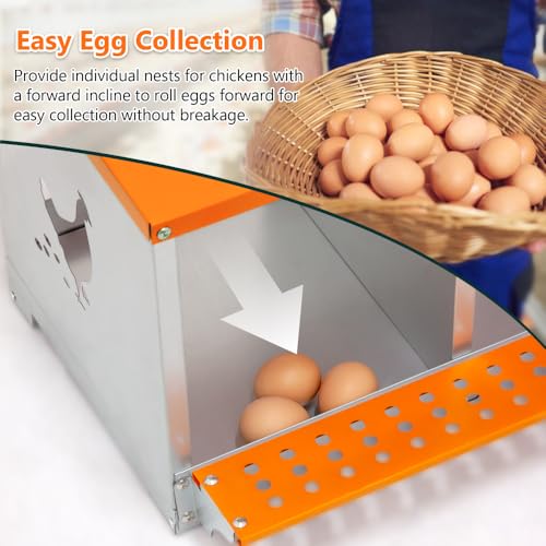 Heavy-Duty Wall-Mounted Metal Nesting Box for Chickens and Ducks – Ventilated Galvanized Steel Coop Accessory with Easy Egg Harvest (4-Orange)
