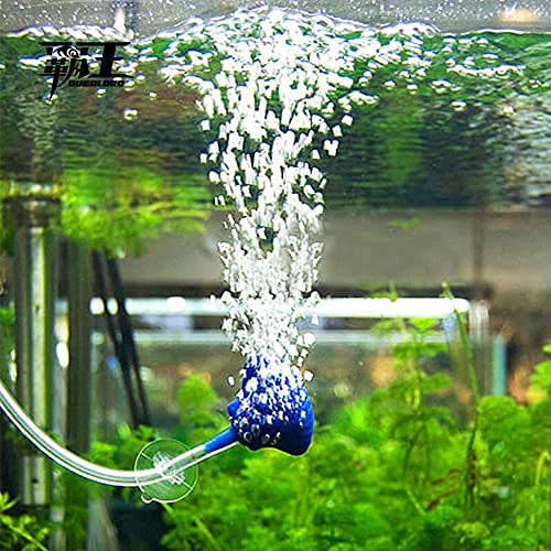 Feelers 1/4" ID x 3/8" OD Silicone Tubing Food Grade Pure Silicon Tube High Temp Home Brewing Winemaking Silicone Hose Tubing, 3.28ft Length - size: 1/4"ID-3/8"OD, style: 3.28ft length(1 Meter)