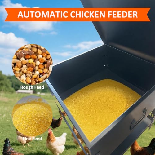80 lb Automatic Chicken Feeder, Adjustable Height Poultry Set | Metal build, Latch closure, Carry handle, Grain storage, Ducks, Turkeys, Backyard coop, Farm use