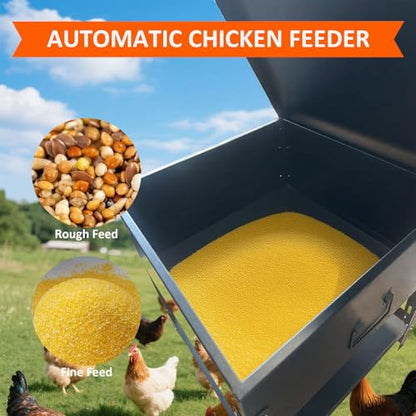 80 lb Automatic Chicken Feeder, Adjustable Height Poultry Set | Metal build, Latch closure, Carry handle, Grain storage, Ducks, Turkeys, Backyard coop, Farm use