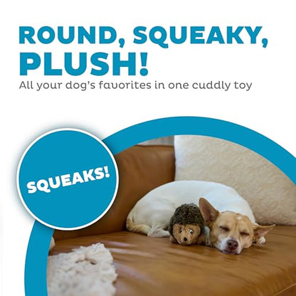 Outward Hound Hedgehogz Stuffed Dog Toy – Soft Plush Hedgehog, Squeaks, 6" x 4" x 4.5" - size: Small (Pack of 1)